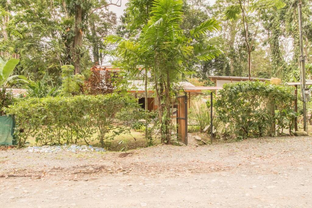 Casa Mazam *